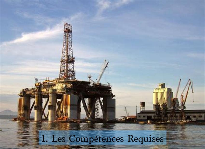 1. Les Compétences Requises