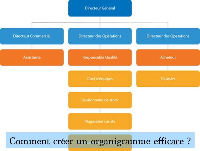 Comment créer un organigramme efficace ?