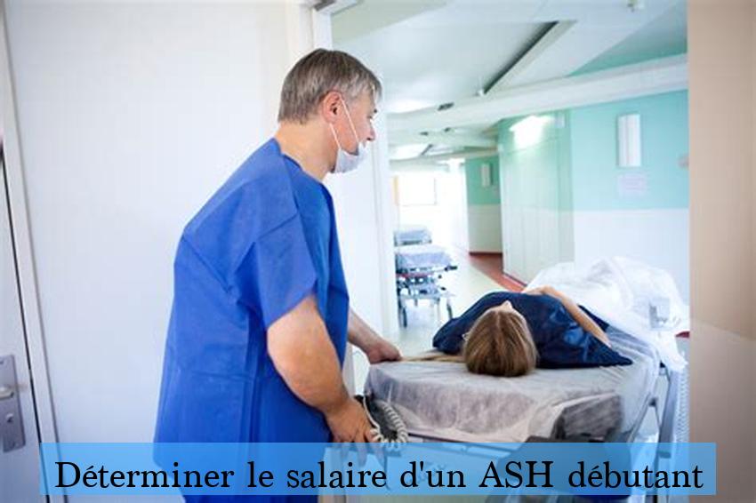 Déterminer le salaire d'un ASH débutant