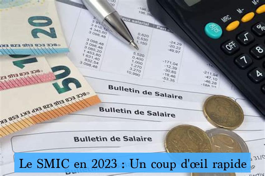 Le SMIC en 2023 : Un coup d'œil rapide