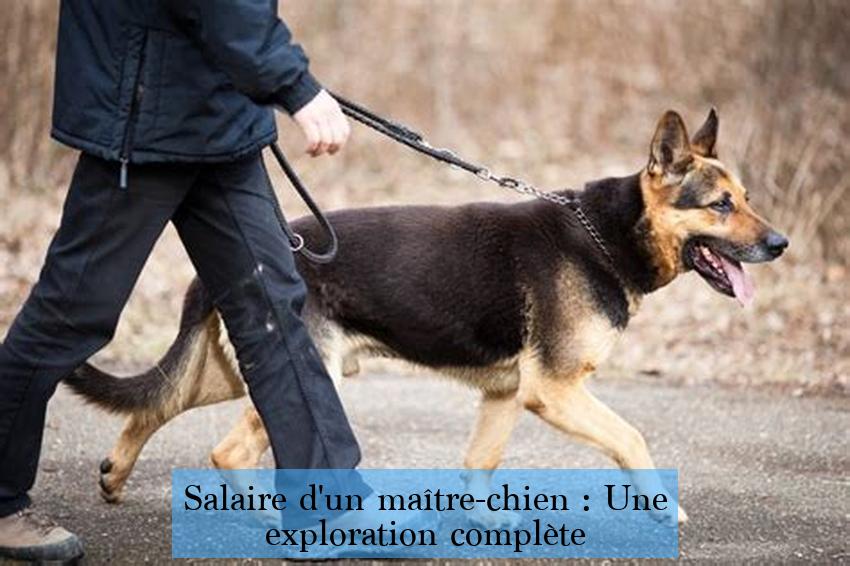 Salaire d'un maître-chien : Une exploration complète