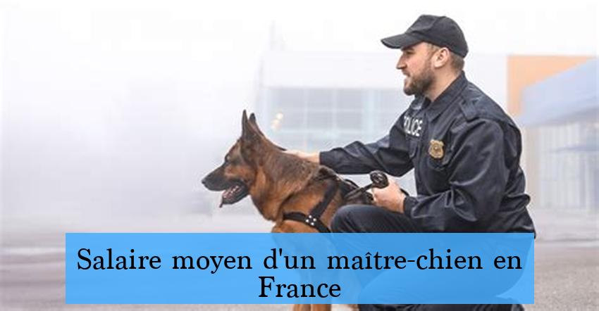 Salaire moyen d'un maître-chien en France