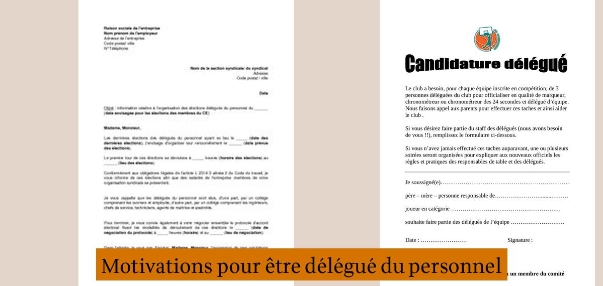 Modèle Lettre Candidature Délégué Du Personnel Pdf